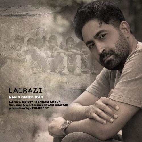 Navid Daneshfar Lajbazi